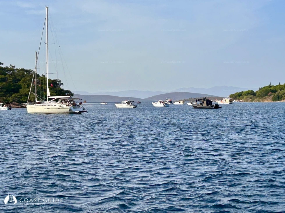 Ortunç Koyu - Fotoğraf 4