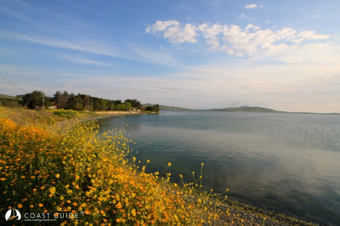 Paşalimanı - Photo 4