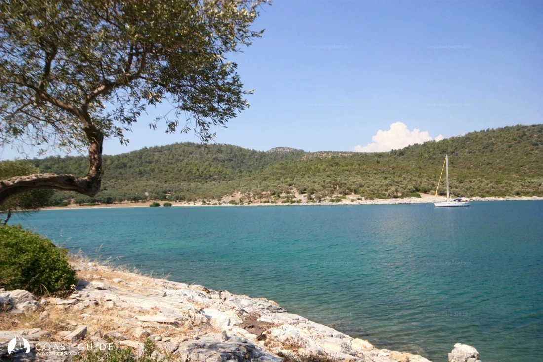 Harputlu Koyu - Fotoğraf 3