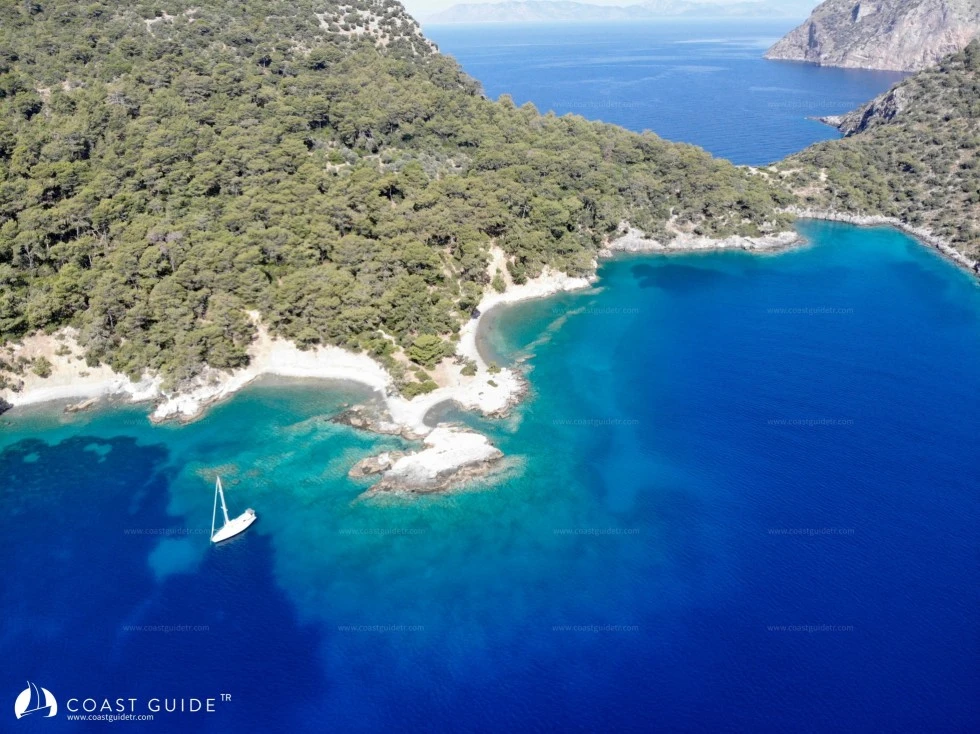 Darboğaz Koyu - Fotoğraf 2