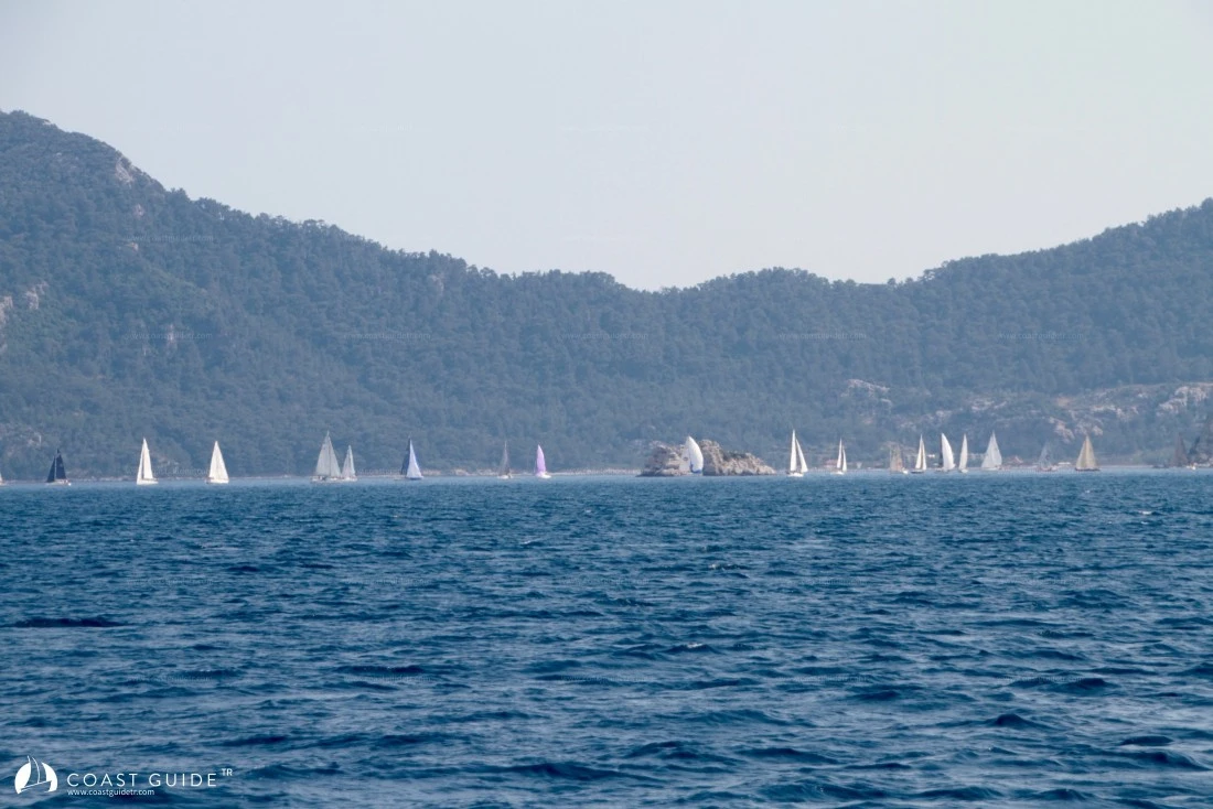 width=500