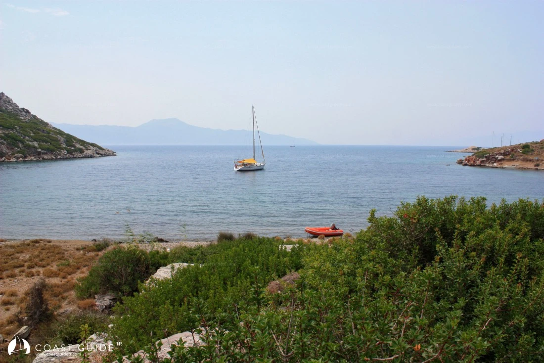 Tavşanbükü - Fotoğraf 2