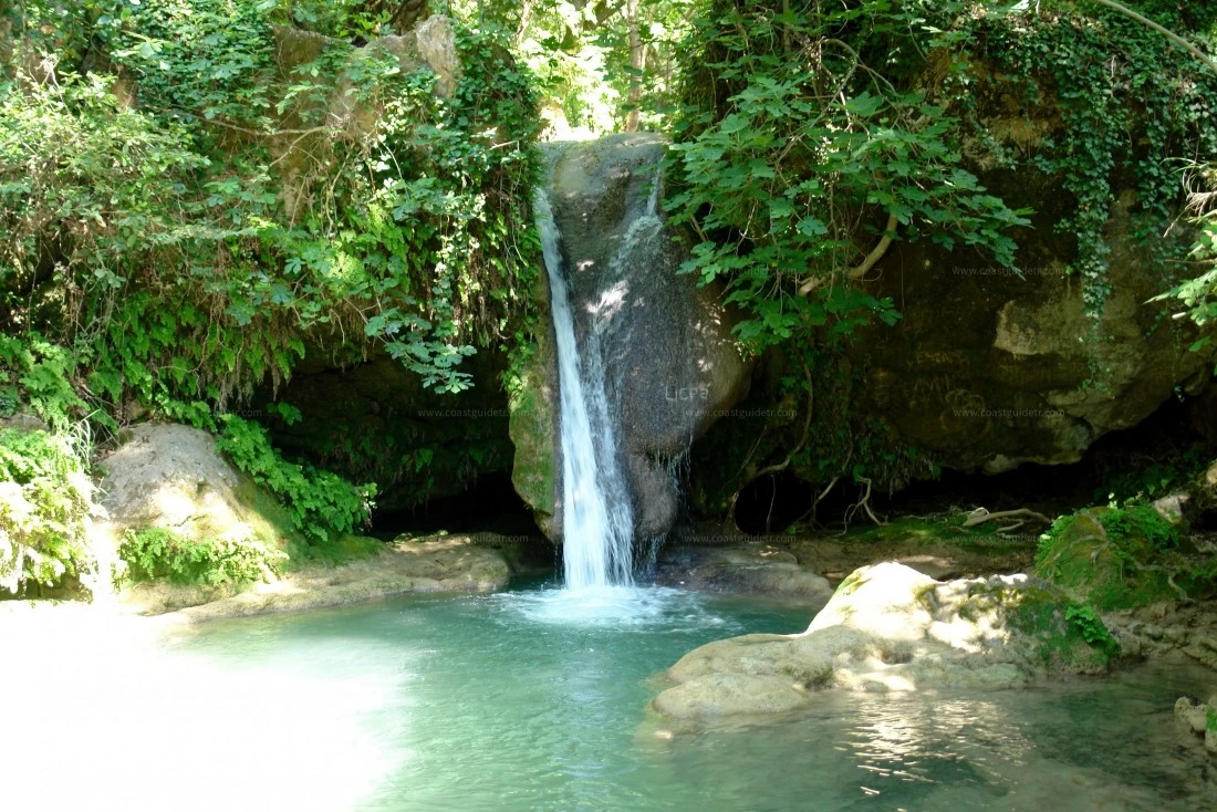 width=500