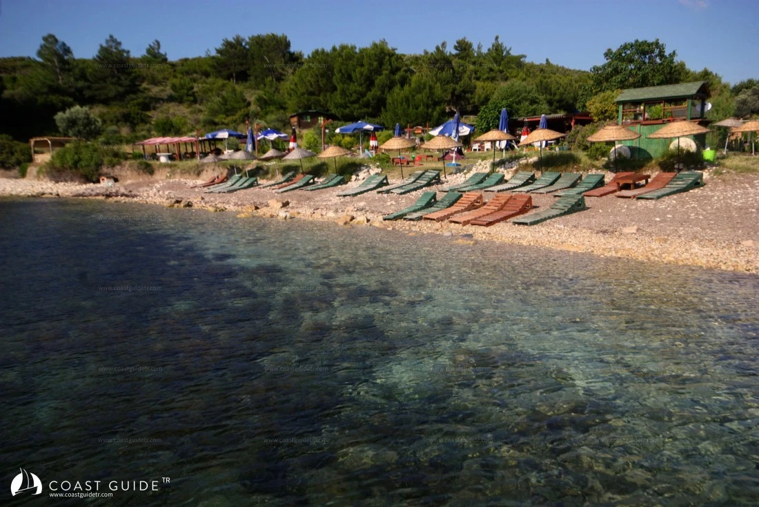 Denizyıldızı(Bodrum) Koyu - Fotoğraf 4