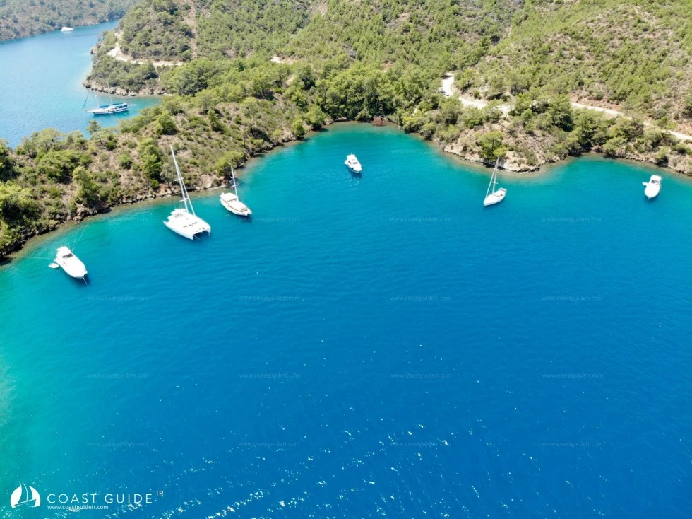Eğri Çam (İnceburun) Koyu - Fotoğraf 1