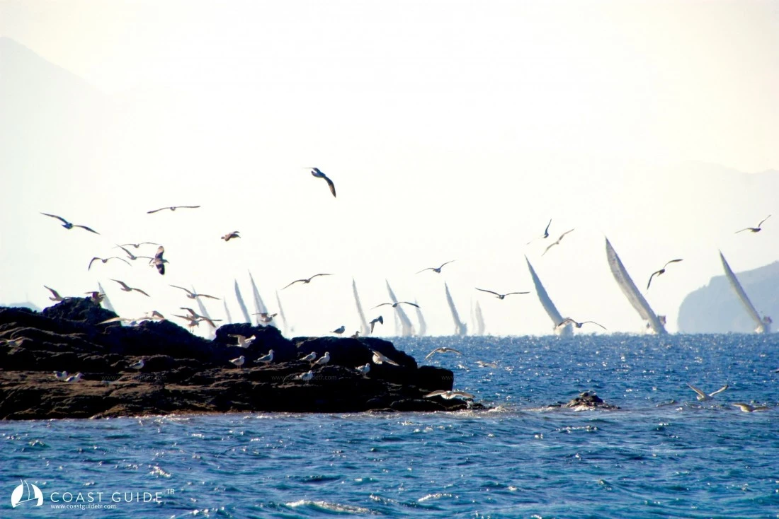 width=450