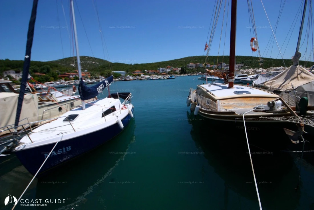 Özbek Limanı - Fotoğraf 4