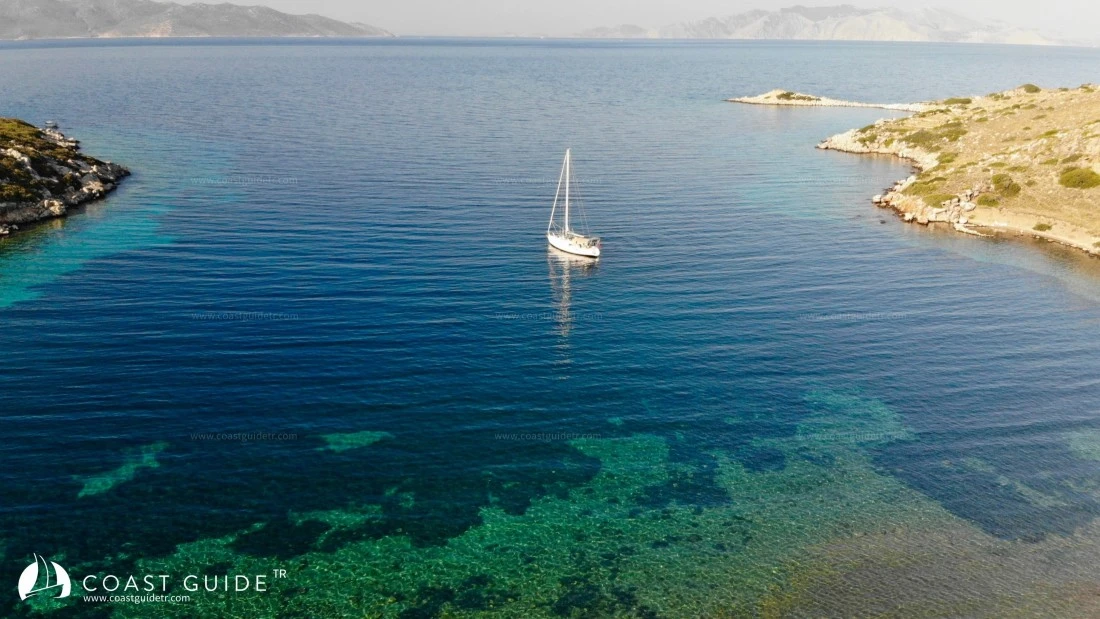 Tavşanbükü - Fotoğraf 1