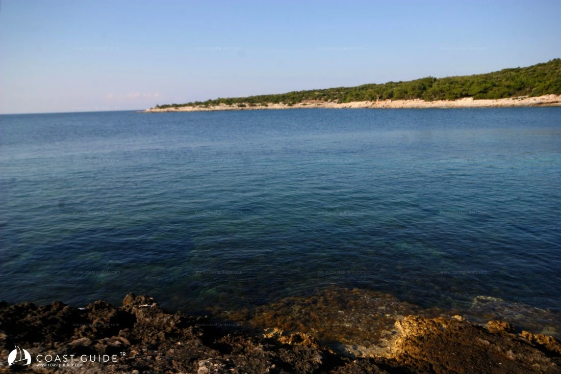 Çam Limanı (Güllük) - Fotoğraf 2