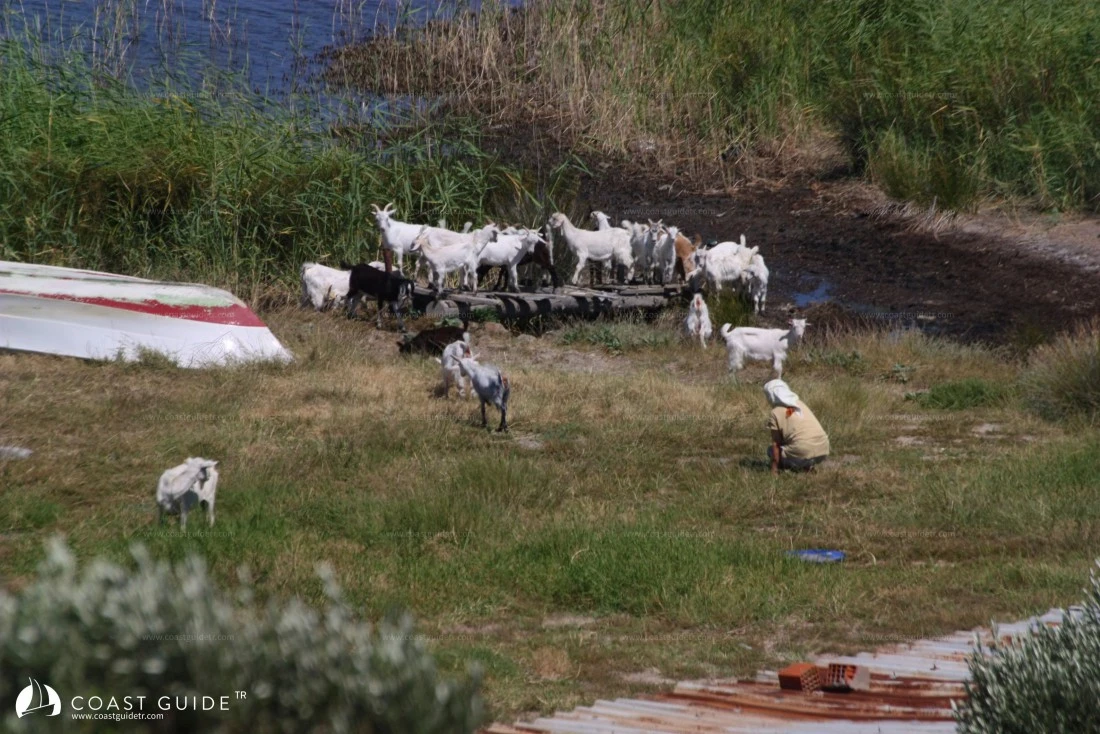 Eğri Port - Photo 3