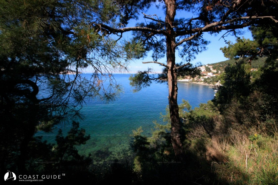 Büyükada - Fotoğraf 2