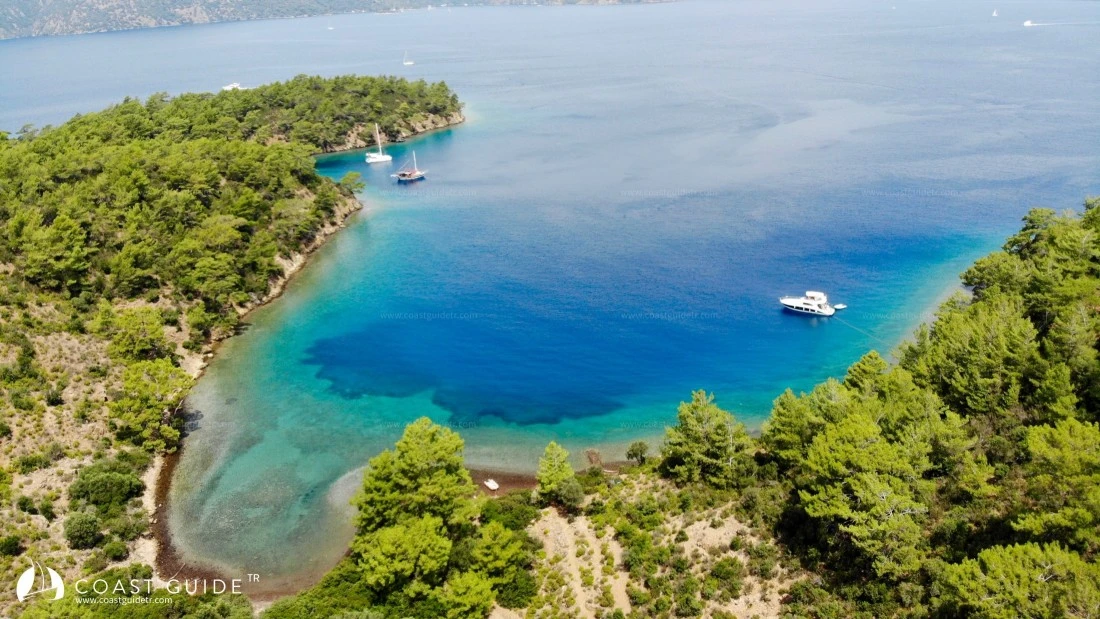 Uzun Ali Koyu - Fotoğraf 1