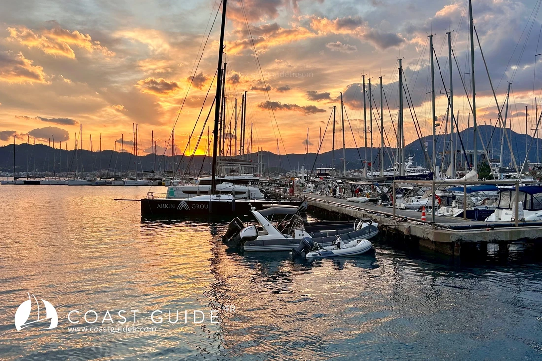 Albatros Marina