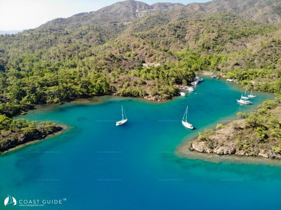 Büyük Çatı Koyu - Fotoğraf 1
