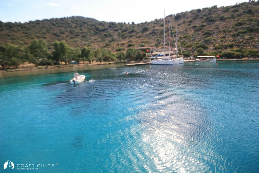 Kuzbükü - Fotoğraf 4