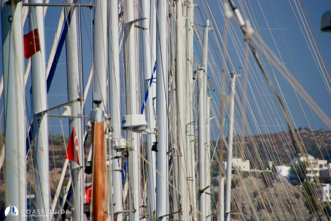 width=450