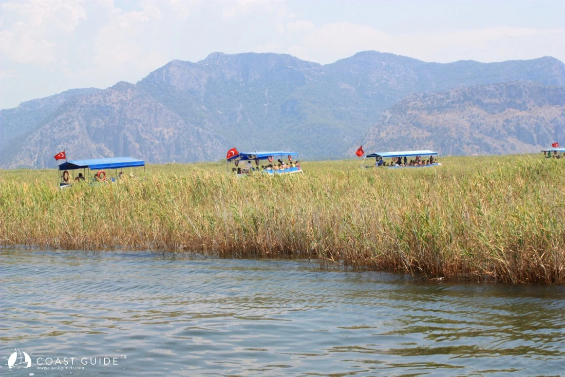 Delik Ada/ Dalyan - Fotoğraf 4