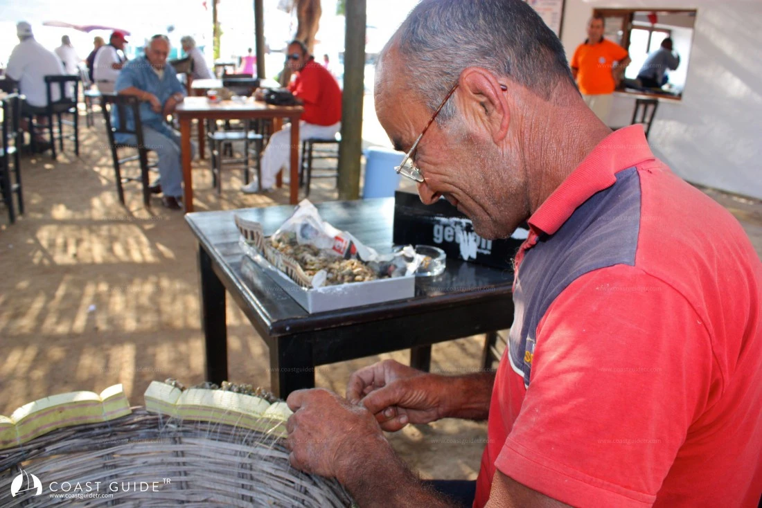 Gümüşlük - Photo 3