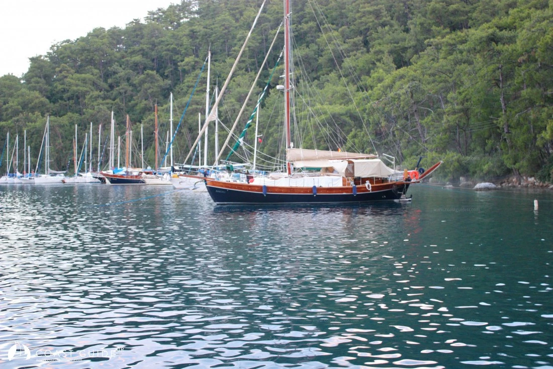 Karacasöğüt - Photo 3