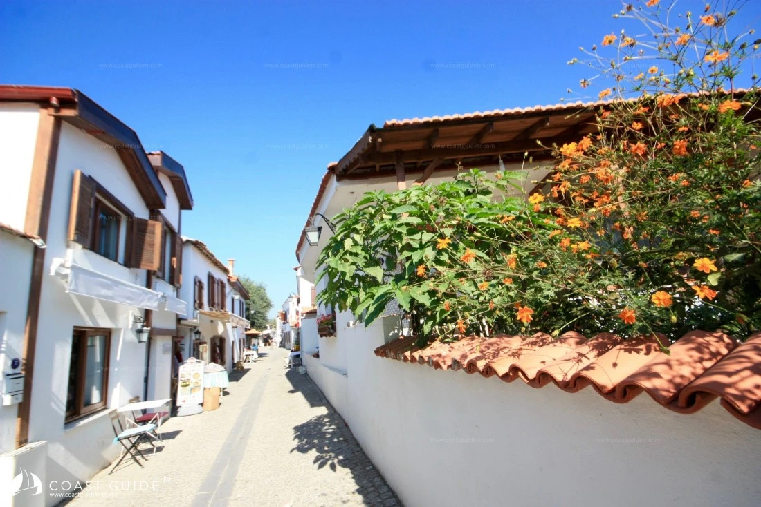 width=500