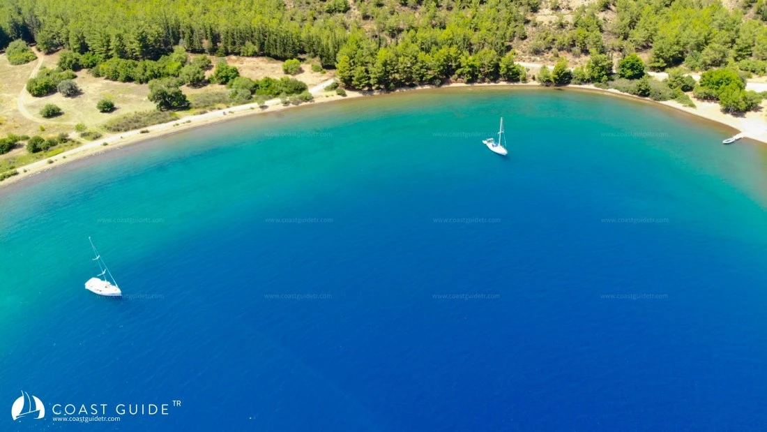 Killebükü - Fotoğraf 4