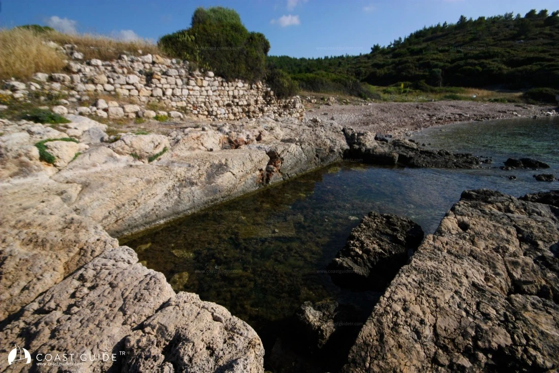 Denizyıldızı(Bodrum) Koyu - Fotoğraf 1