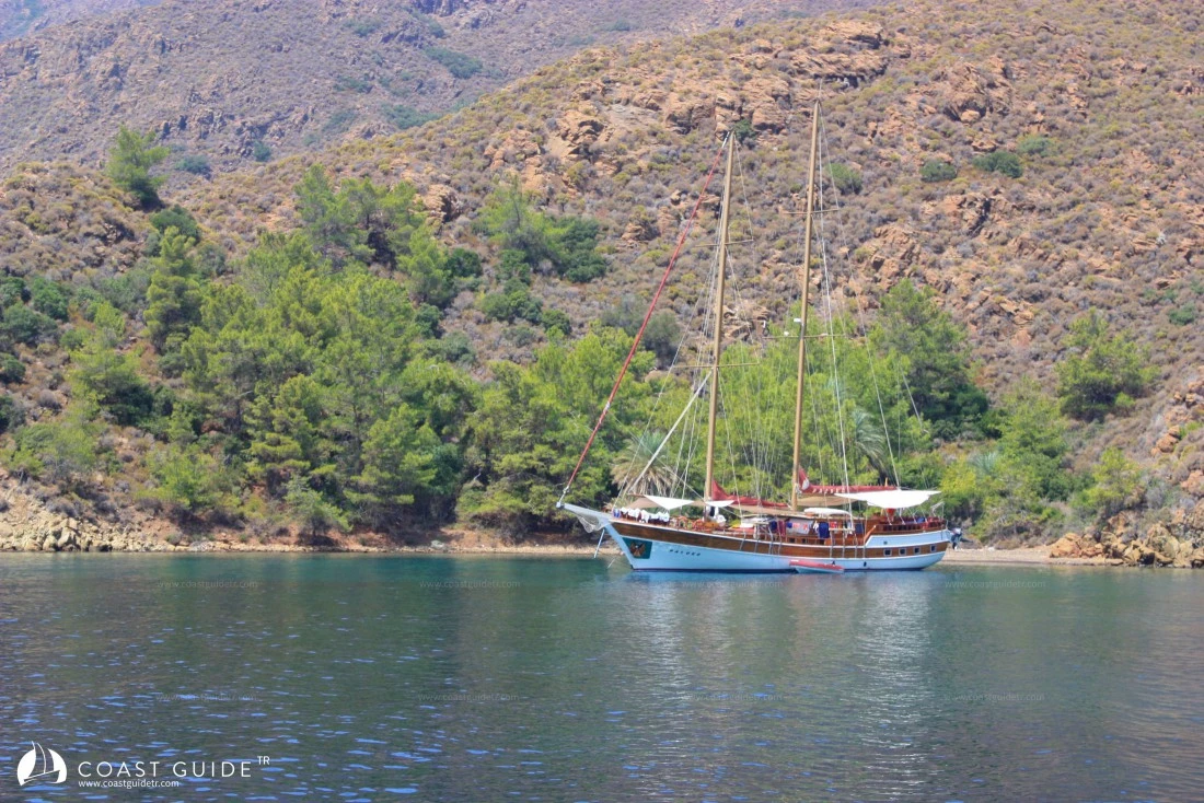 Gönlücek Bükü - Fotoğraf 4