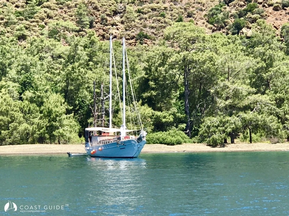 Çığlik Koyu - Fotoğraf 3