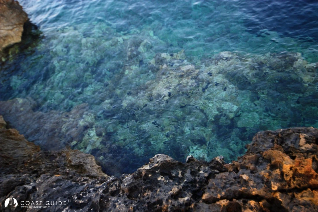 Aktaş(Akvaryum) Koyu - Fotoğraf 3