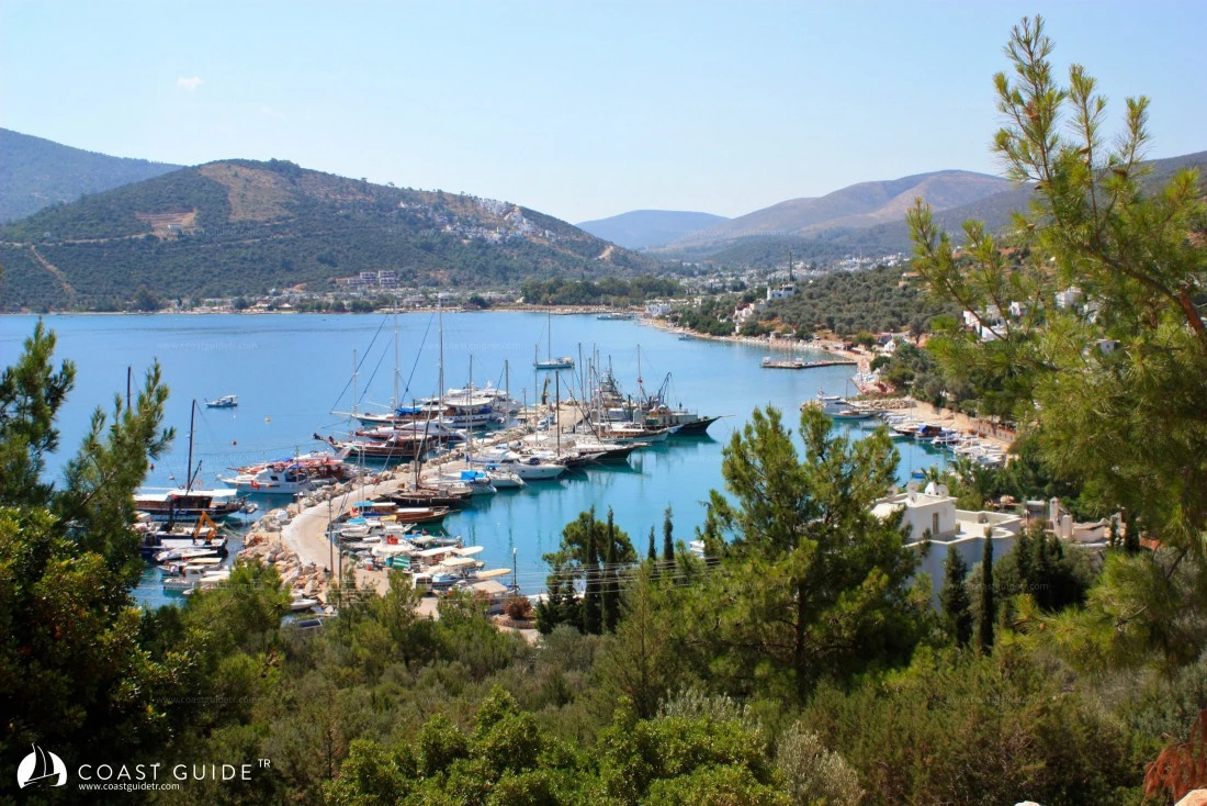 Torba - Photo 2