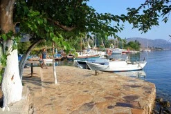Selimiye photo 8