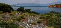 Su Adası Koyu(St.Paul) photo 6
