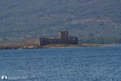 Patriça Koyu photo 10