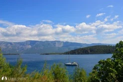Çamlı Limanı photo 7