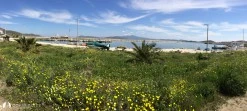 Avşa Adası Yiğitler Barınağı photo 1