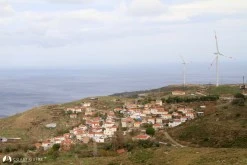 Yeni Liman photo 4