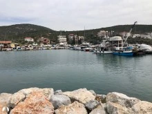 Özbek Limanı photo 14
