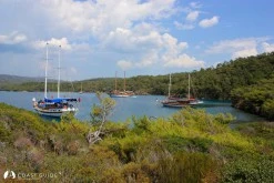 Uzun Liman photo 3