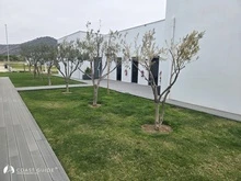 Gazipaşa Gold Marina photo 21