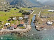 Yeni Liman photo 16