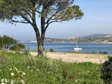 Eski Foça photo 17