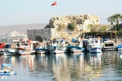 Teos Marina photo 22