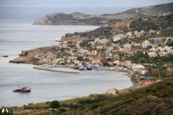 Yeni Liman photo 10