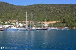 Torba photo 6