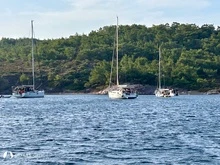 Ortunç Koyu photo 4