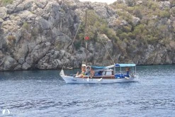 Armutlu Su Koyu photo 6