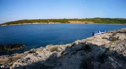 Küçük Gevil photo 2