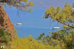 Çamurlu Koy photo 9