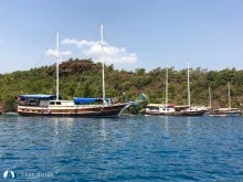 Çamurlu Koy photo 21