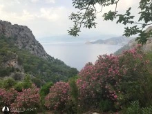 Turunç Pınarı Koyu photo 8